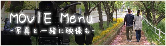 ムービーメニューで写真と一緒に映像も