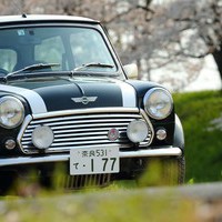 愛車と桜　ロケ撮影　走行シーンも撮影可