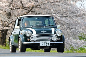 ロケにて車の走行シーンも撮影します。ミニクーパと桜